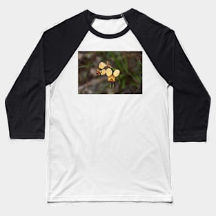 Donkey Orchid - by Avril Thomas Baseball T-Shirt